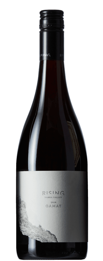 Rising Gamay 2019