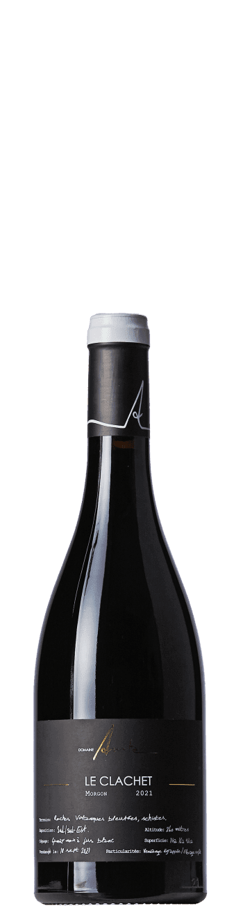 Domaine Anita Morgon Le Clachet 2021