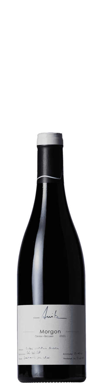 Domaine Anita Morgon Château-Gaillard 2022