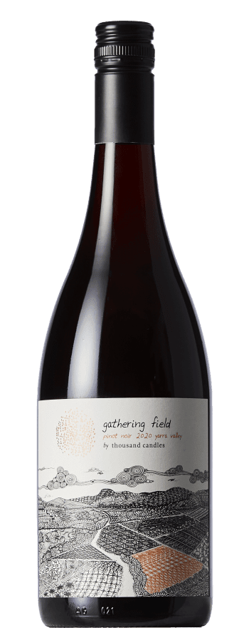 Thousand Candles Gathering Field Pinot Noir 2020