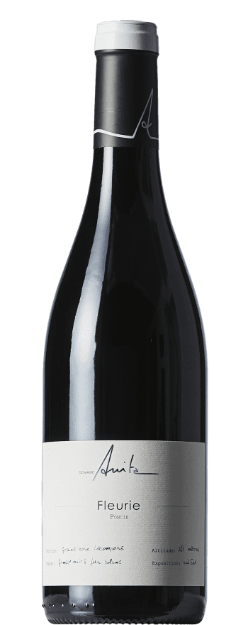 Domaine Anita Fleurie Poncie 2022