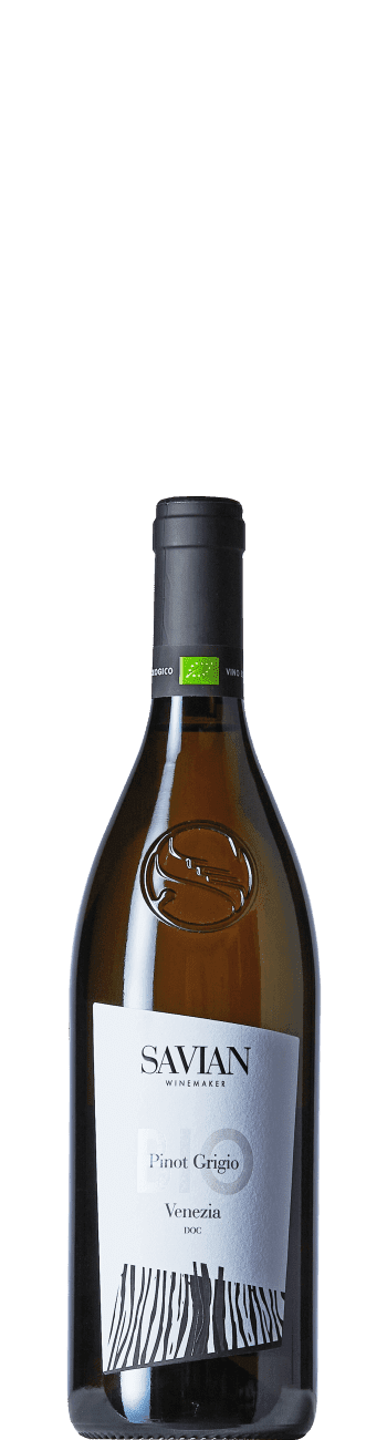 Savian Pinot Grigio 2025
