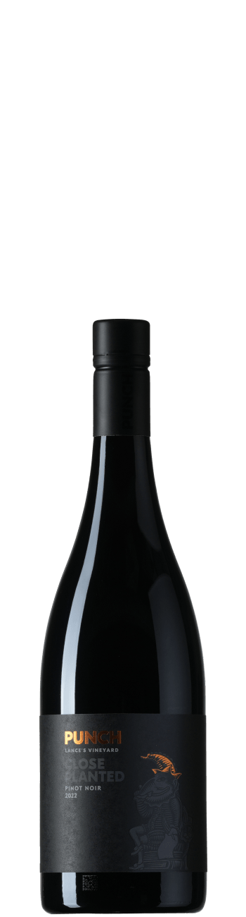 Punch Lance's Vineyard Close Planted Pinot Noir 2022