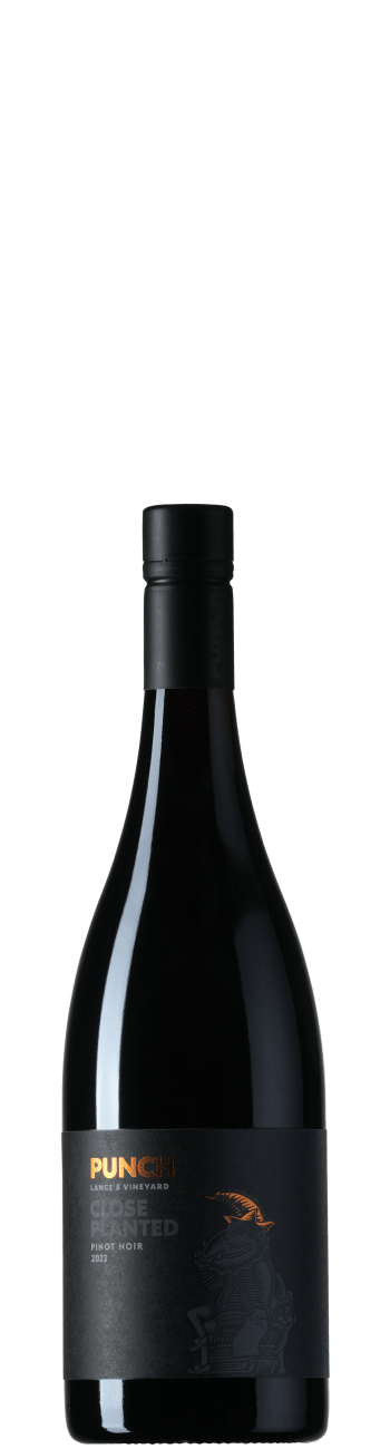 Punch Lance's Vineyard Close Planted Pinot Noir 2023