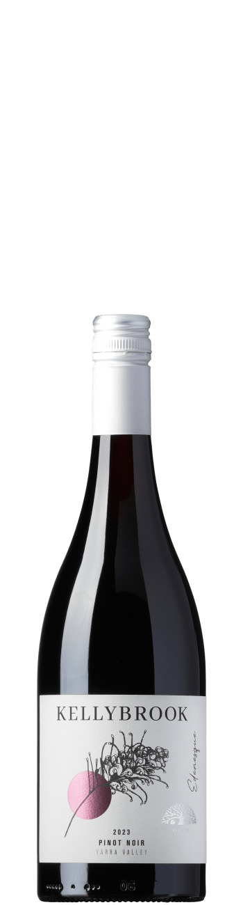 Pinot Noir 2023 - Black Market Deal #58996