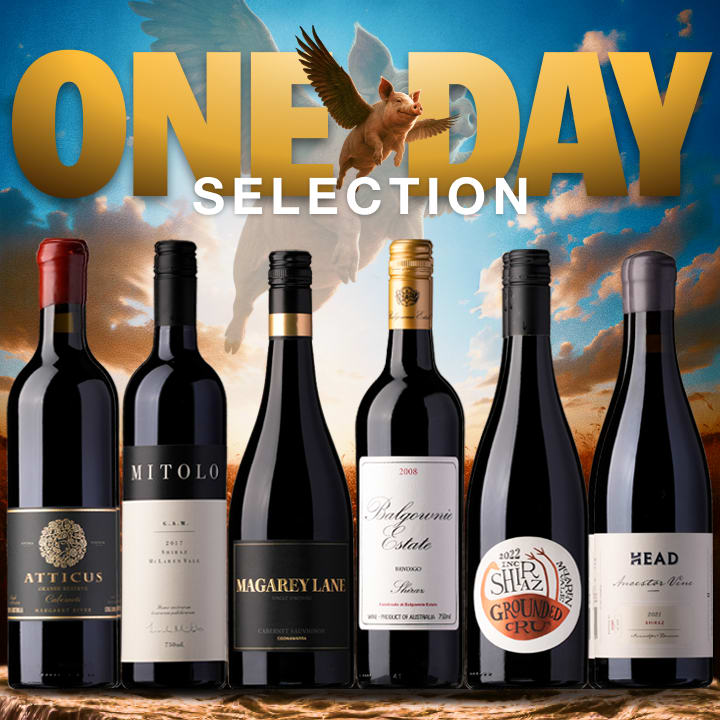 The 'One Day' Sale Selection