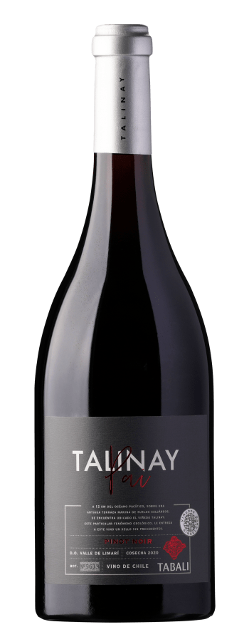 Tabali Pai Pinot Noir Pinot Noir 2020