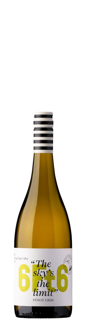 Unwrapped: Austin's Wines 6Ft6 Pinot Gris 2025