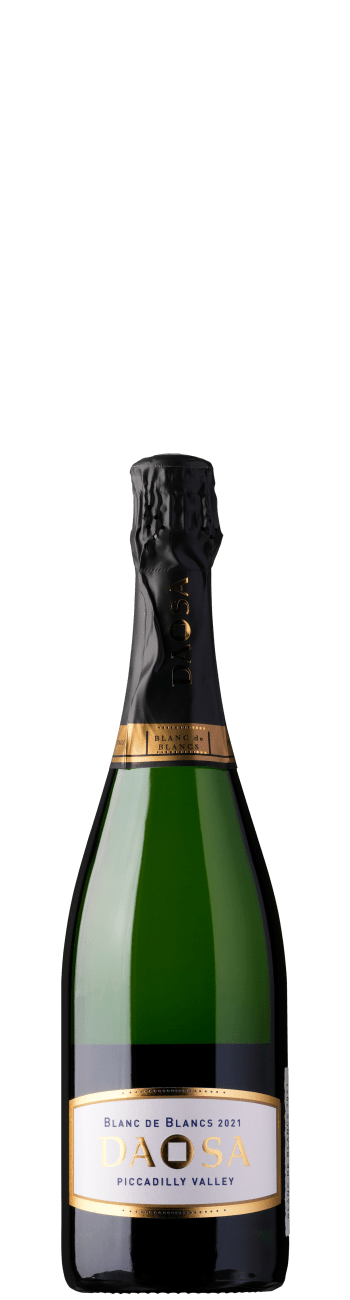 Terre à Terre Daosa Blanc de Blancs 2021