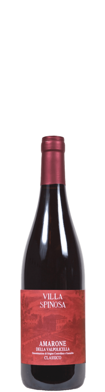 Villa Spinosa Amarone Della Valpolicella Classico DOCG Red Blend 2021