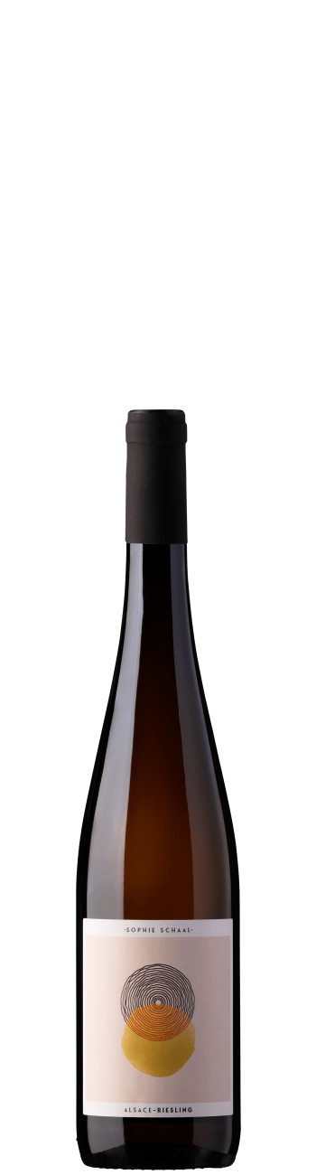 Sophie Schaal Alsace AOC Riesling 2024