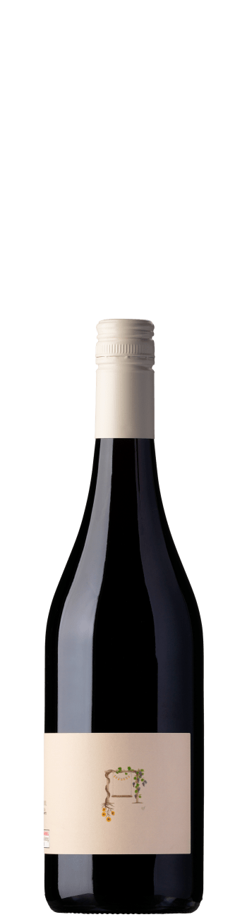 Price Drop: Willow & Goose Sunflower Pinot Noir 2024  
