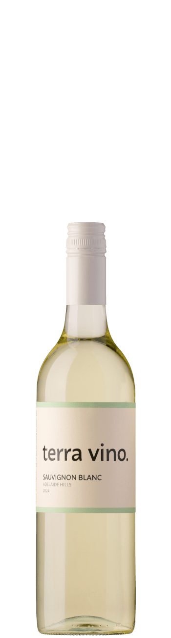 Terra Vino Sauvignon Blanc 2024
