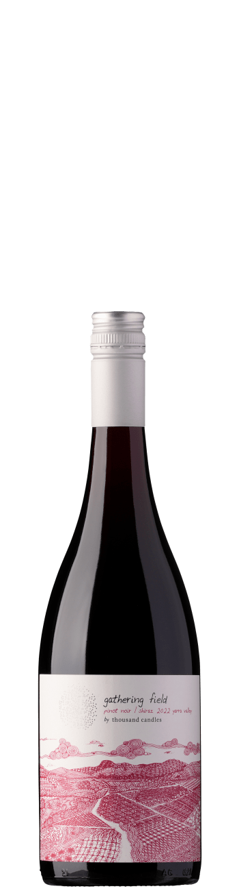 Price Drop: Thousand Candles Gathering Field Red Blend 2022