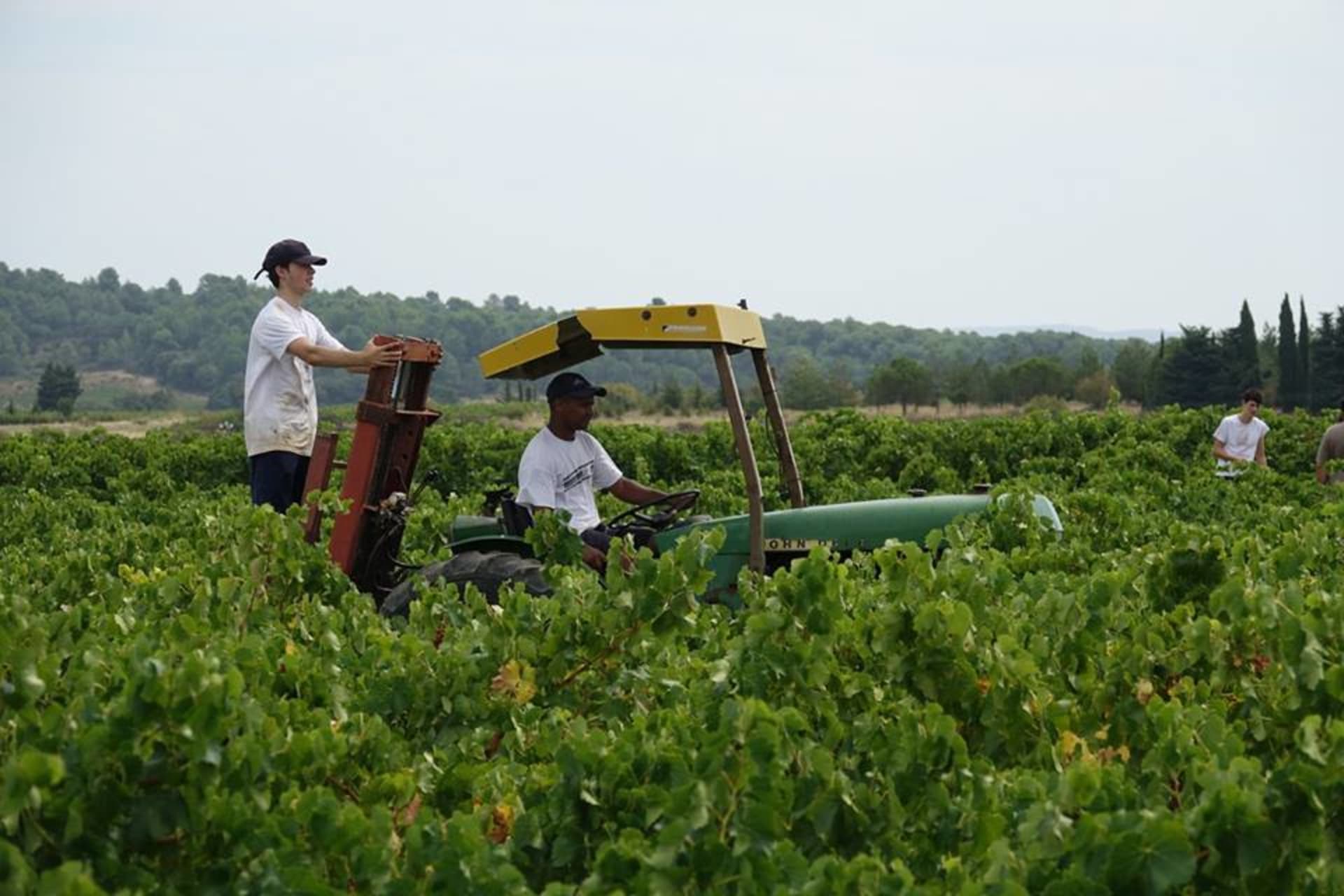 Domaine Jean-Baptiste Senat