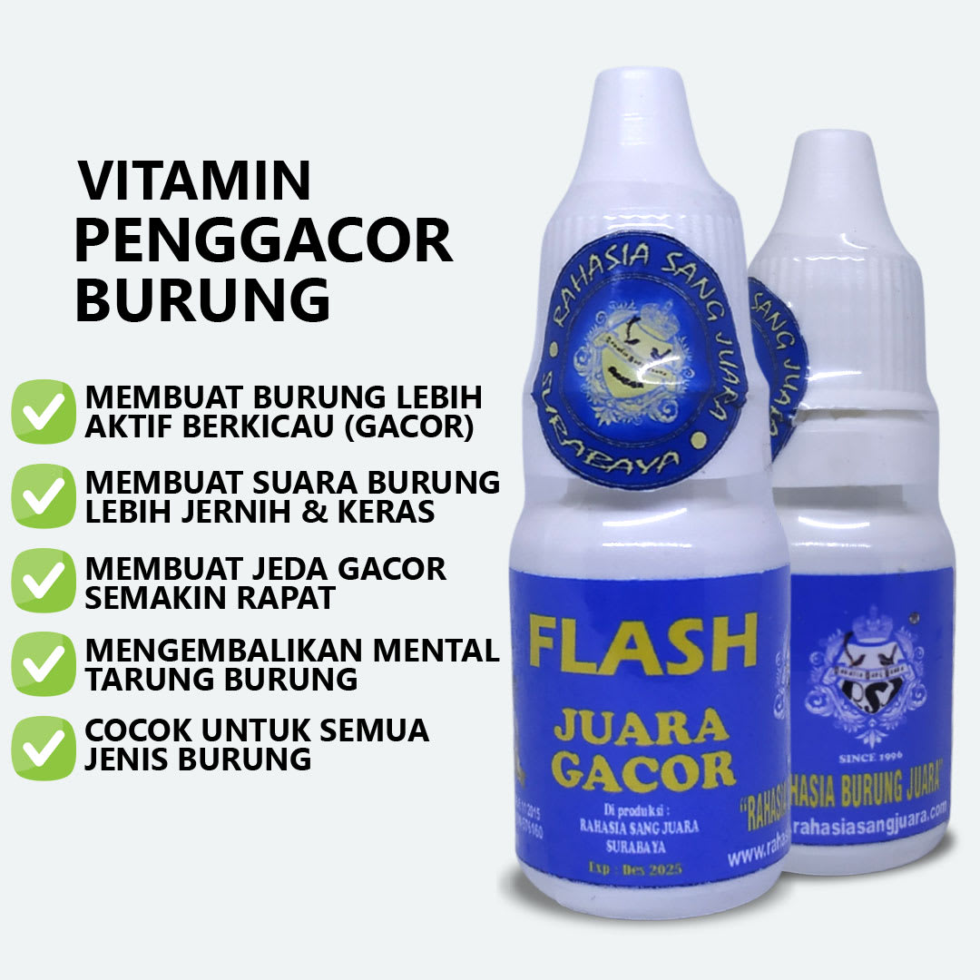 Vitamin Penggacor Burung