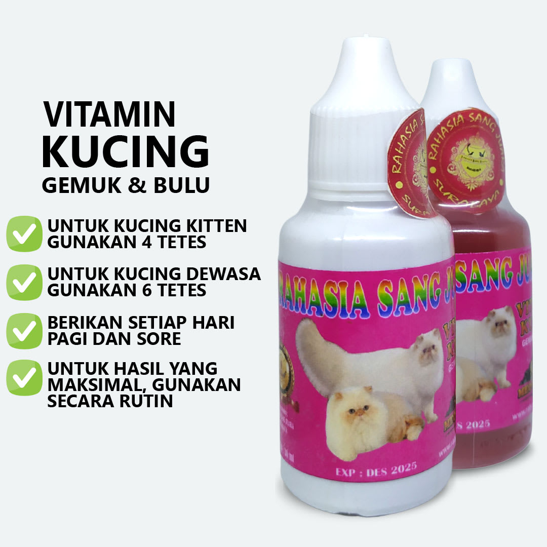 Vitamin Kucing Gemuk Dan Bulu