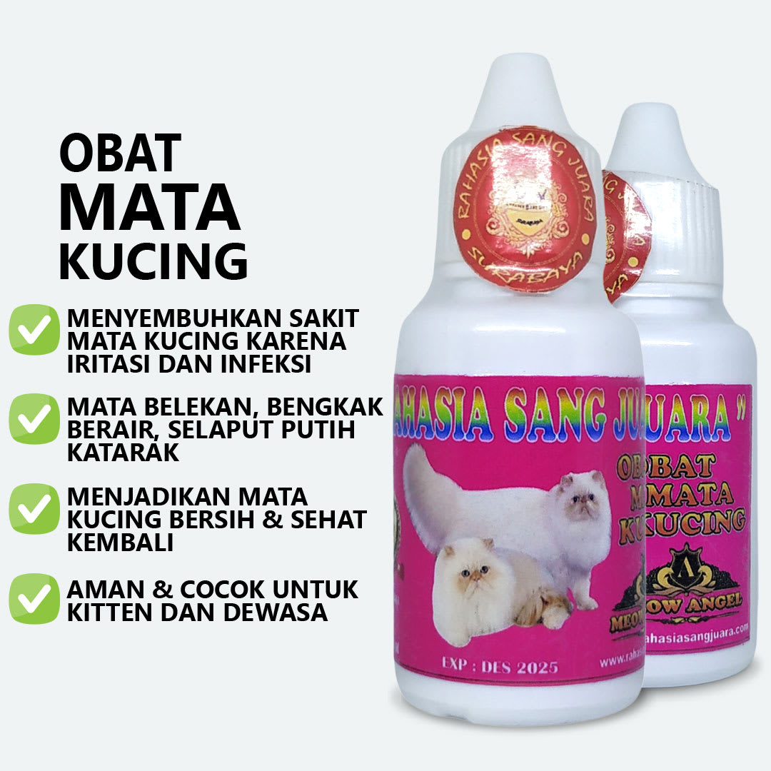 Obat Mata Kucing