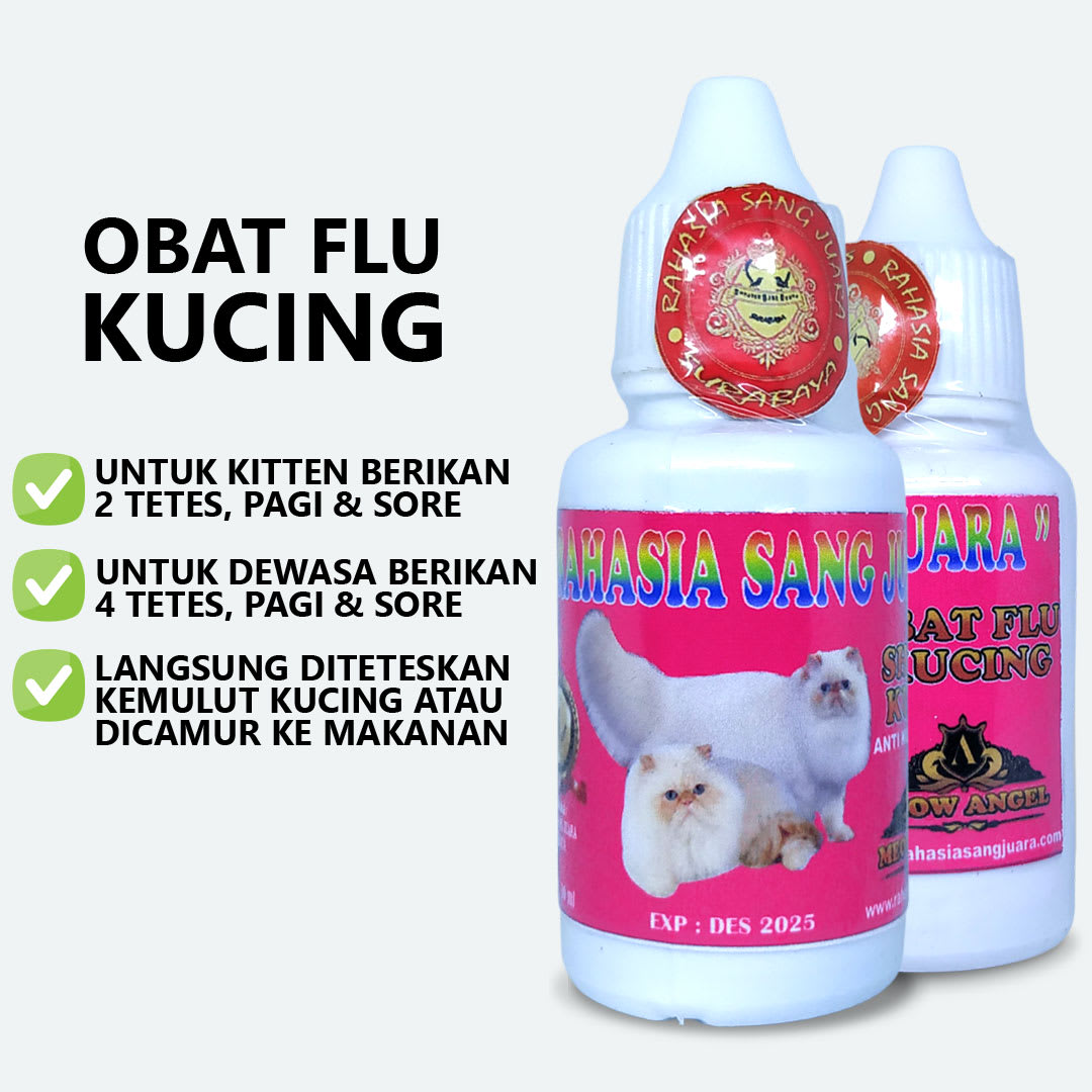 Obat Flu Kucing