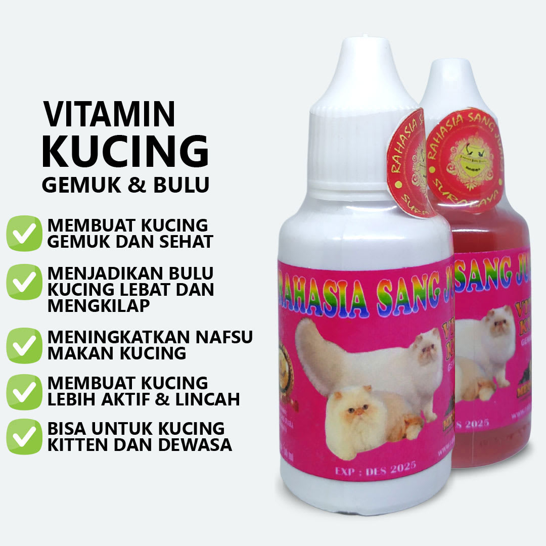 Vitamin Kucing Gemuk