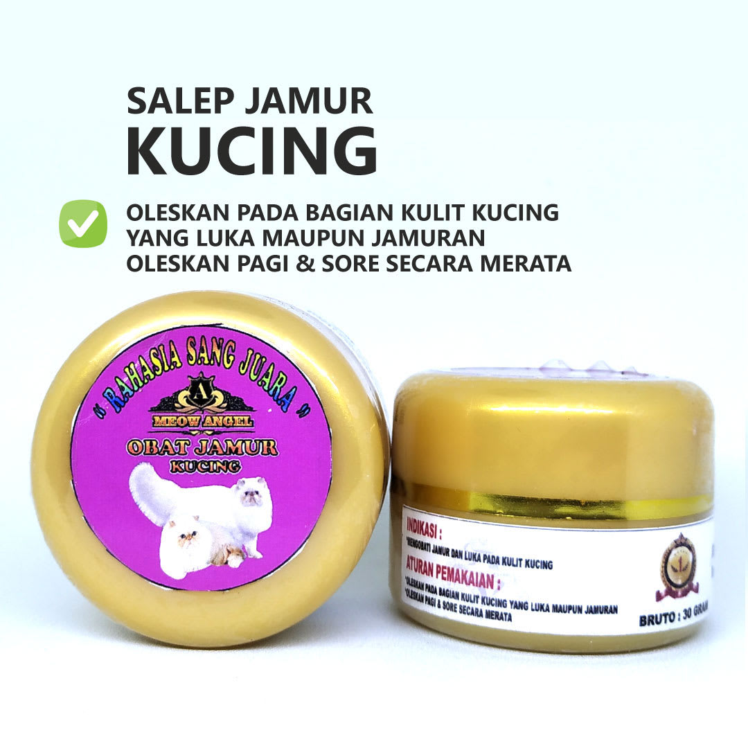 Obat Jamur Kucing