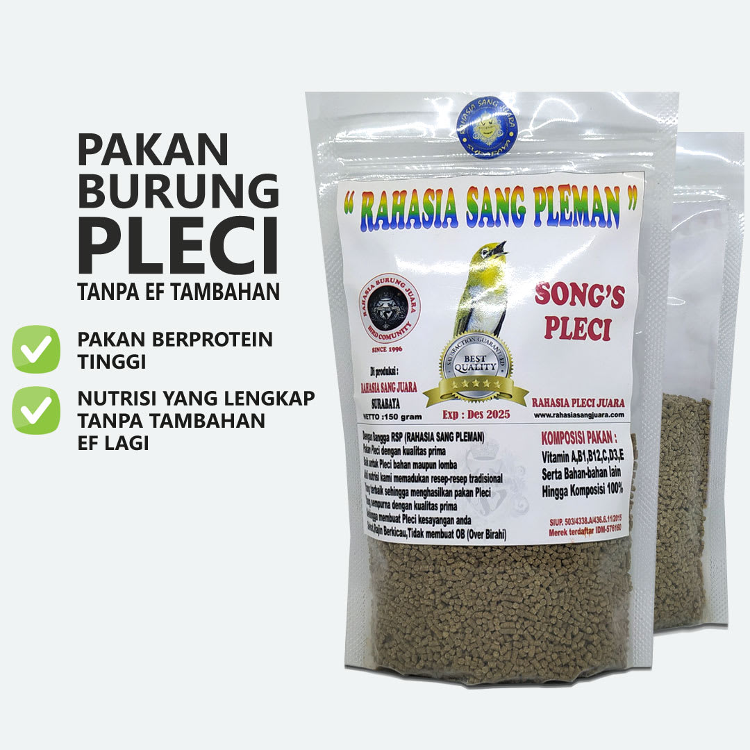 Songs Pleci - Image 2