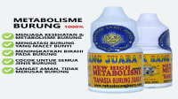 New High Metabolisme 1000%