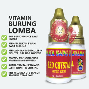 Red Crystal Contest Edition