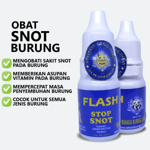 Obat Snot Burung