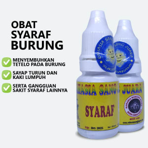 Obat Saraf Burung
