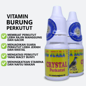 Vitamin Burung Perkutut