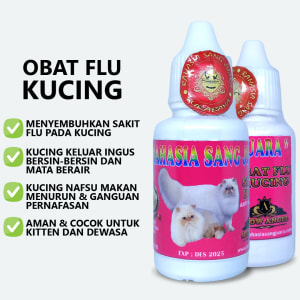 Obat Flu Kucing