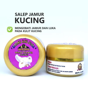 Obat Jamur Kucing