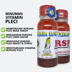 minuman pleci harian