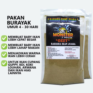 makanan burayak ikan cupang umur 1 hari