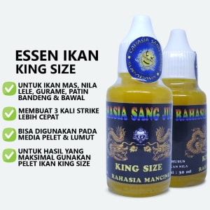Essen Ikan King Size