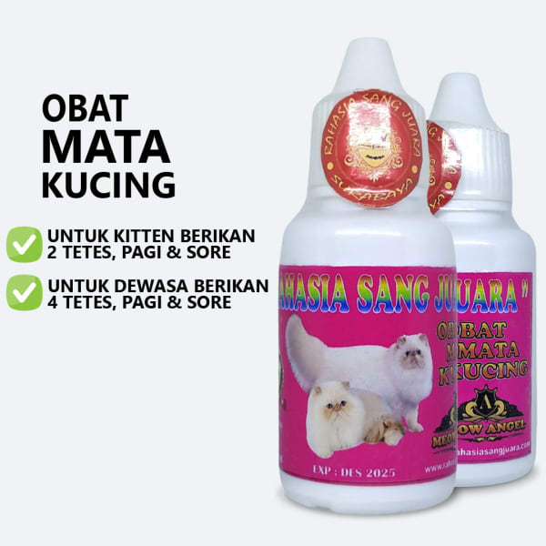 Obat Mata Kucing