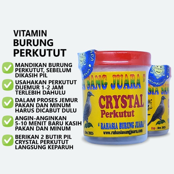 Vitamin Perkutut