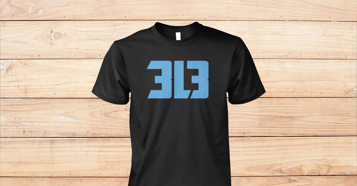 3l3 detroit lions