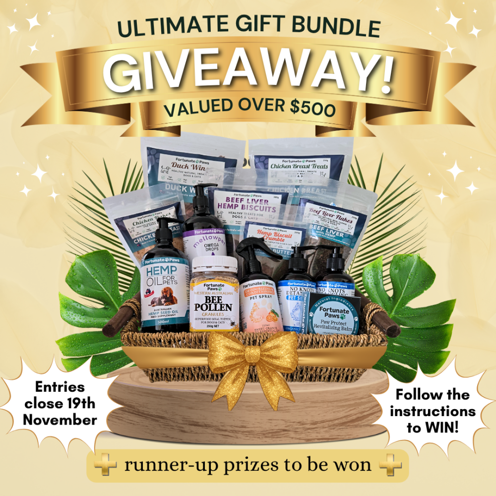 WIN the Ultimate FortunatePaws Bundle worth over $500!