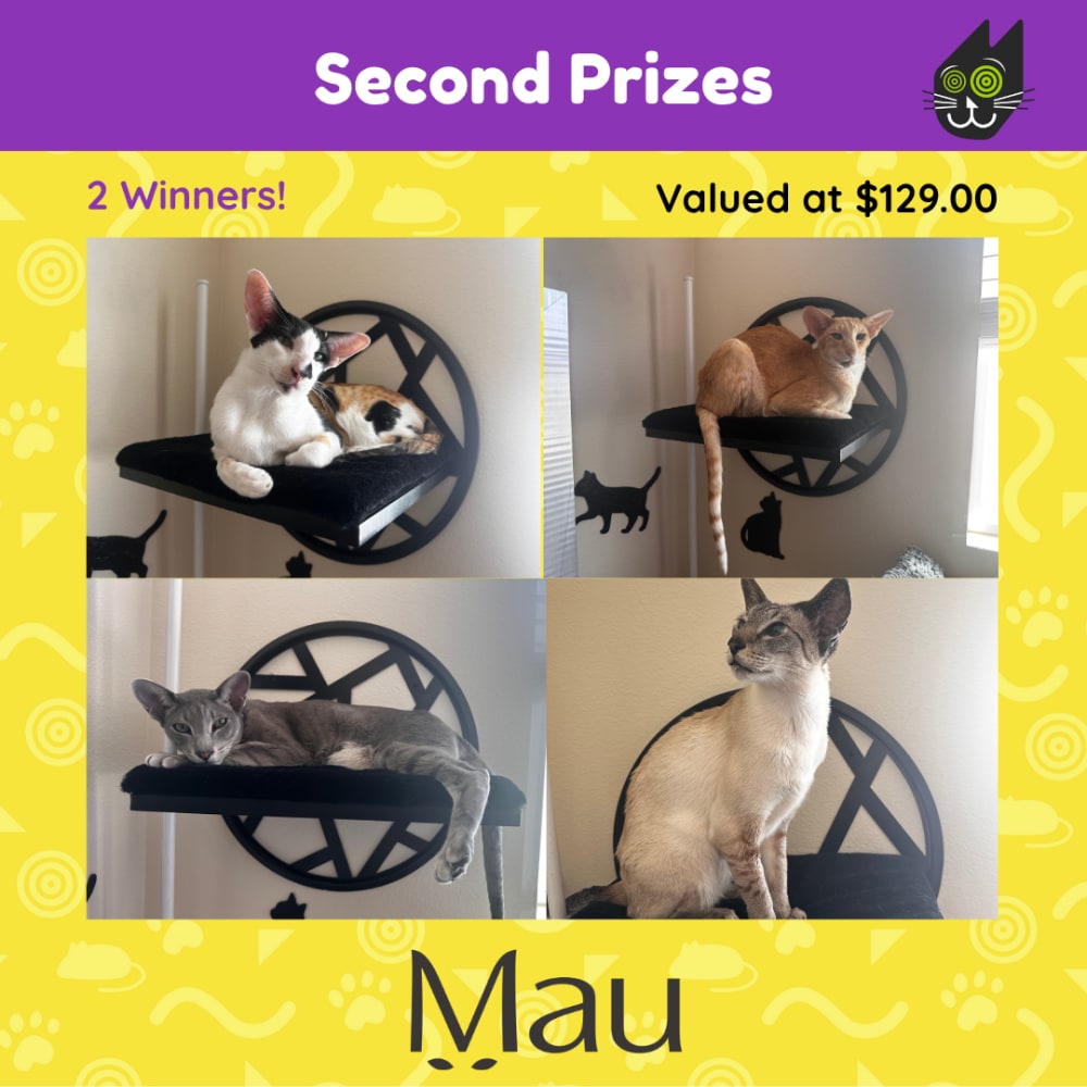 Prize Images