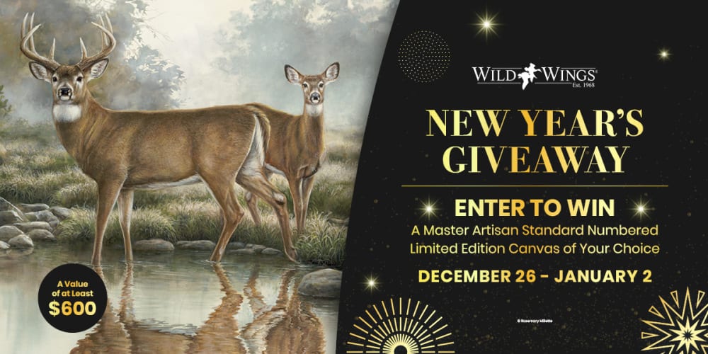 Prize Images
