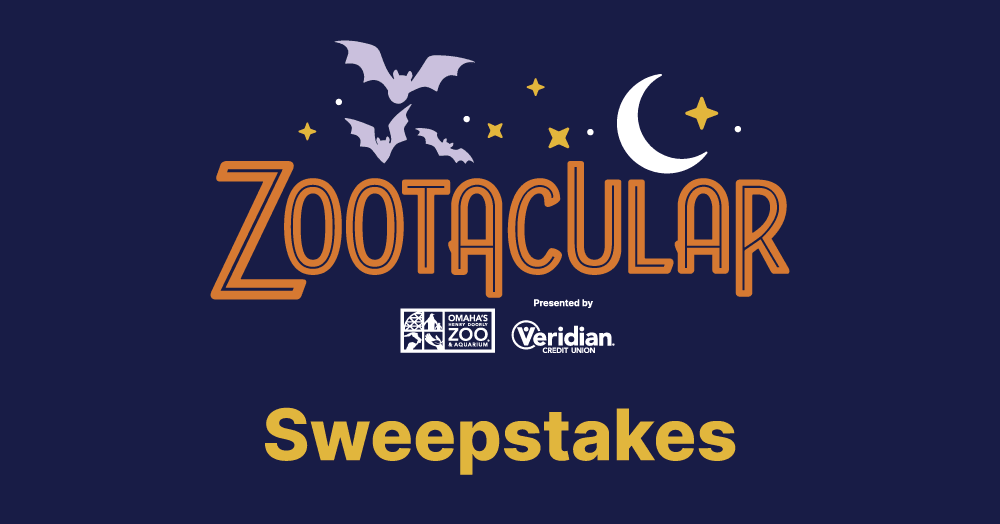 Prize Images