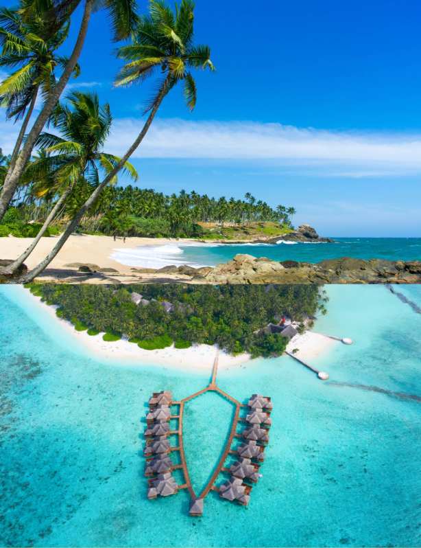 Animated Card Hover Effect Html & CSS