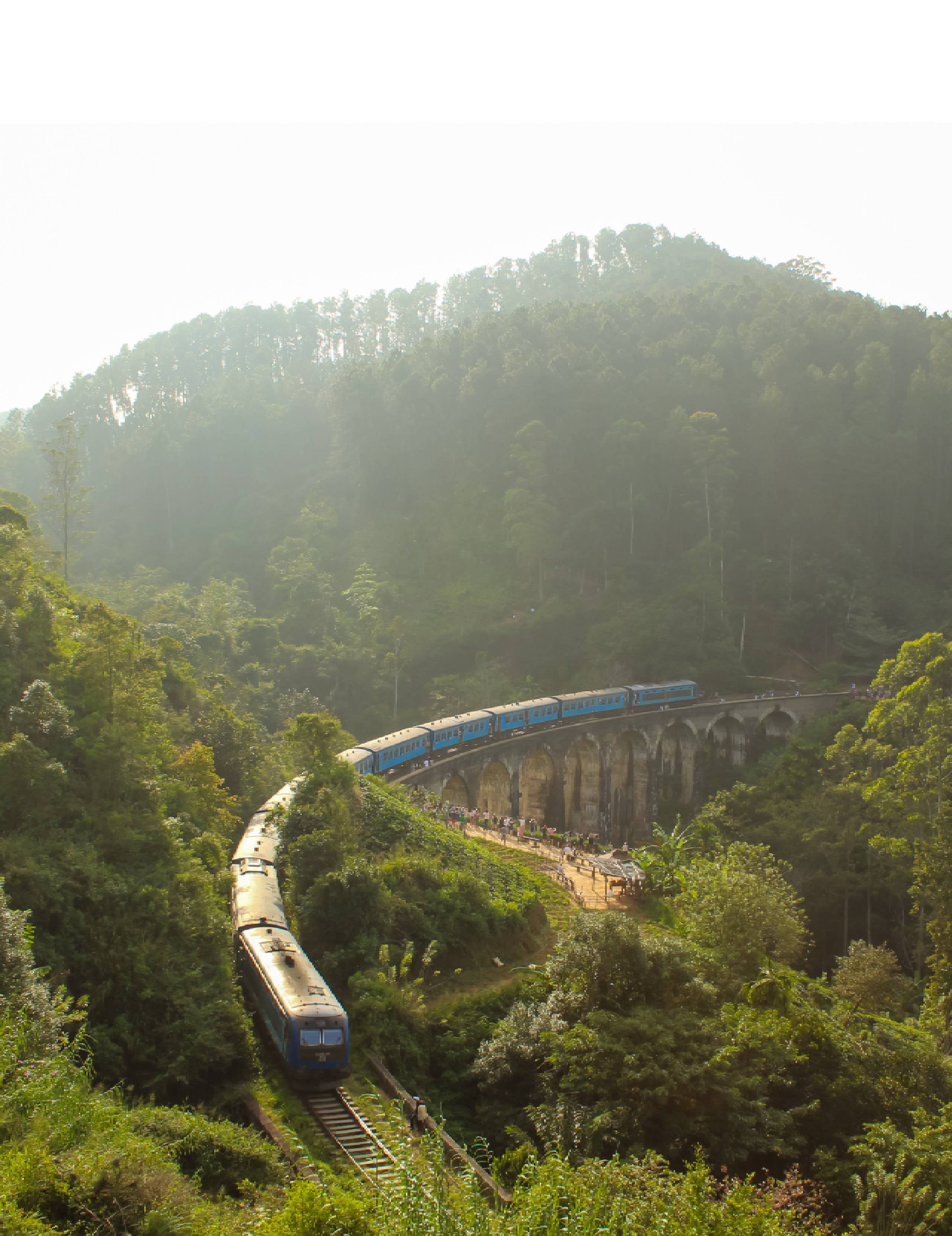 Animated Card Hover Effect Html & CSS