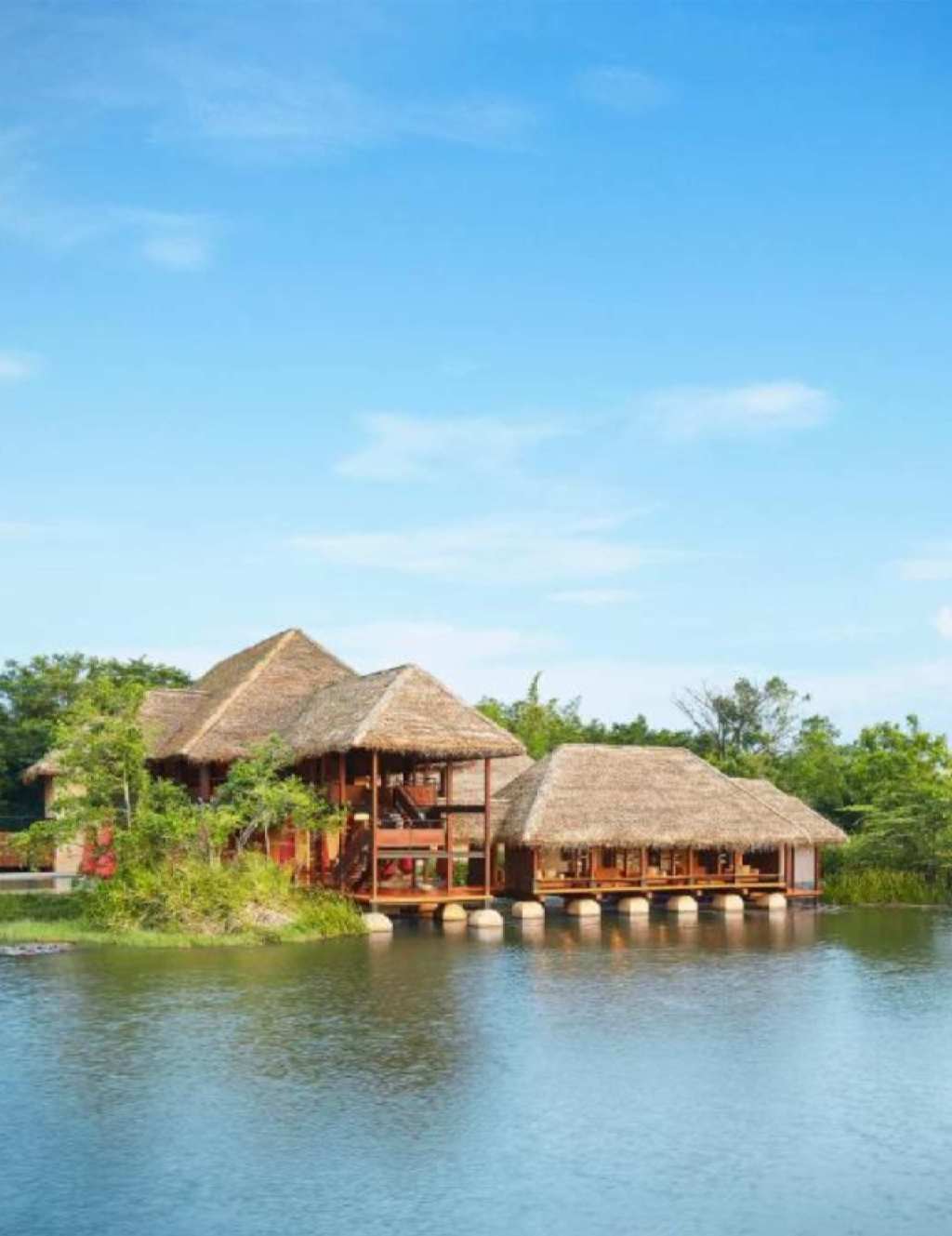 Animated Card Hover Effect Html & CSS