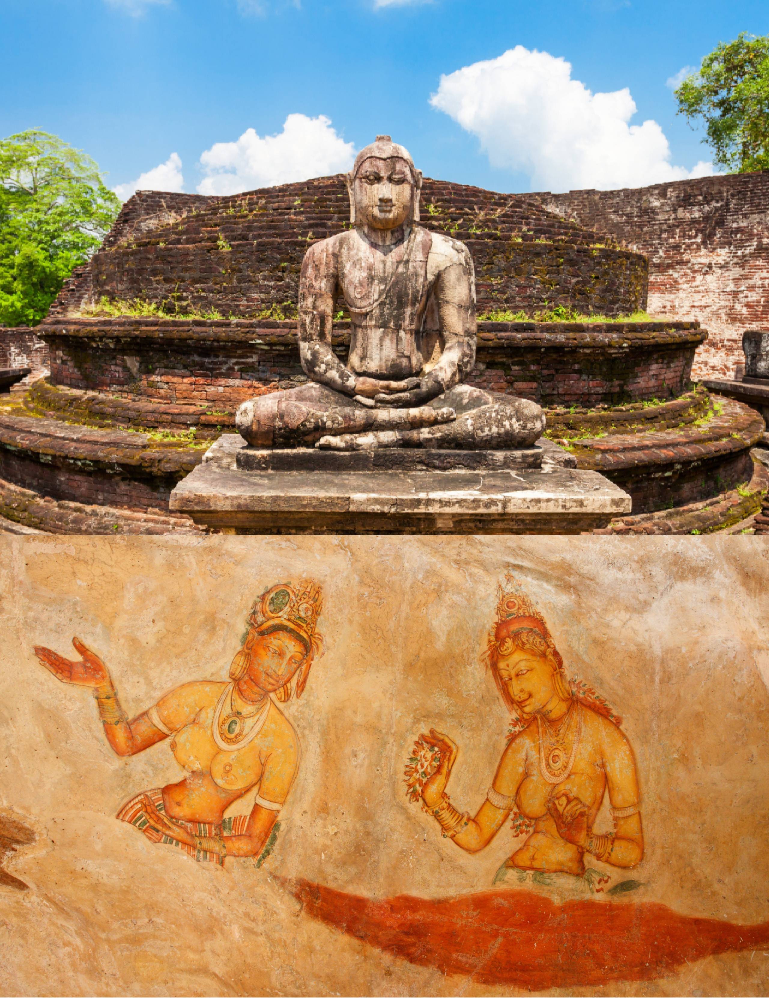 Animated Card Hover Effect Html & CSS