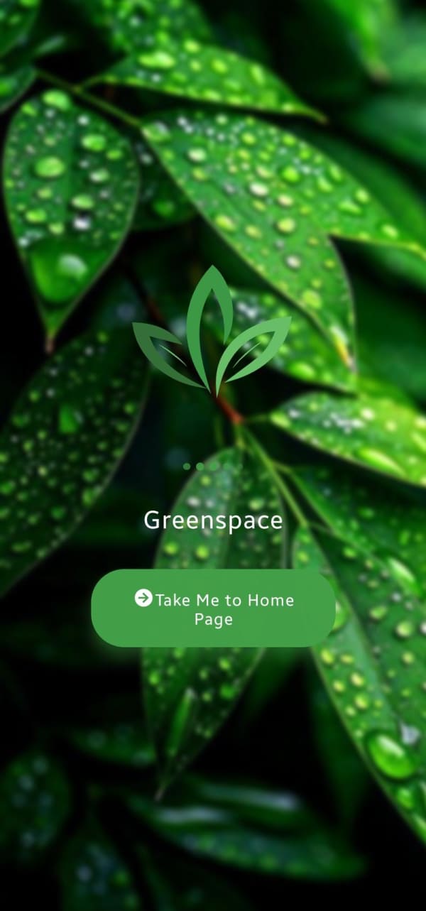 Splash Screen