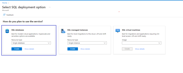 SQL Deployment Option