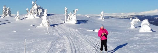 Om Gålå